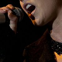 Cranberries dobyli Prahu!